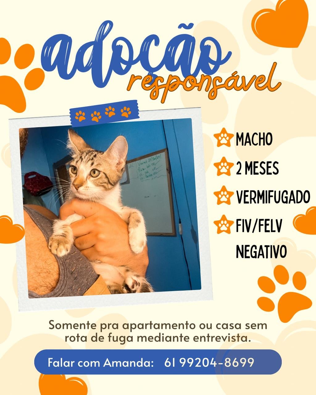 Filhotes-para-adocao-1
